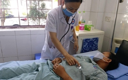 Nhiều người Hà Nội bị ong đốt nguy kịch và lời khuyên của bác sĩ