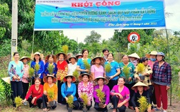 Bến Tre: Nhiều mô hình hay góp phần xây dựng nông thôn mới