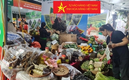 Dư luận xã hội đánh giá tích cực Cuộc vận động "Người Việt Nam ưu tiên dùng hàng Việt Nam"