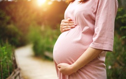 Mẹ bầu nên bổ sung vitamin và khoáng chất vào tháng thứ mấy của thai kỳ?