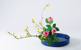 Vẻ đẹp tinh hoa Ikebana Nhật Bản