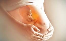 9 tháng trong bụng mẹ, thai nhi sợ điều gì?
