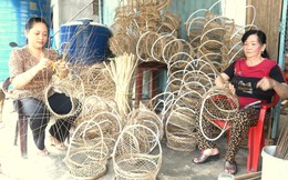 Bến Tre: Hội là địa chỉ tin cậy, điểm tựa cho nhiều phụ nữ vươn lên thoát nghèo
