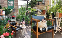 Khu vườn 100m2 ở vùng ngoại ô đẹp như trong phim 