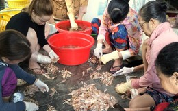 Hợp tác xã mắm cá mào gà giúp phụ nữ phát triển kinh tế