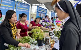 Bình Định: Tập trung hỗ trợ phụ nữ khởi nghiệp