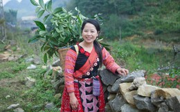 Cô gái H'Mông "biến" điểm nóng ma túy thành điểm sáng du lịch