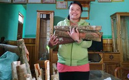Người phụ nữ Cadong xin thoát nghèo 