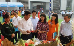 Phú Thọ tổ chức sơ kết 5 năm thực hiện Đề án 938, 939 của Chính phủ: Những con số ấn tượng