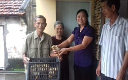 Thái Bình: Tiêu chí “gia đình không nghèo” giúp nhiều phụ nữ vươn lên phát triển kinh tế