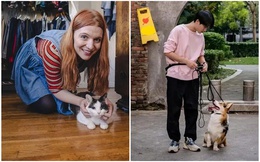 Kiếm cả trăm triệu mỗi tháng nhờ trông mèo thuê, dắt chó đi dạo