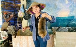 Mô hình kinh tế tổng hợp giúp phụ nữ vùng cao thoát nghèo