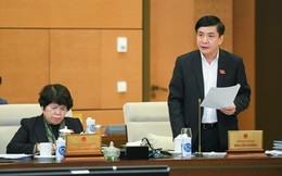 Quốc hội dự kiến họp bất thường 4 ngày để xem xét 5 nội dung