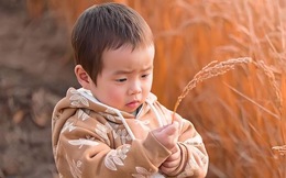 Nếu trẻ làm được 3 việc này chứng tỏ cha mẹ có phương pháp nuôi dạy xuất sắc 