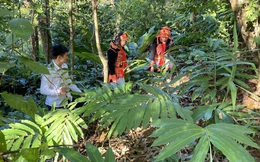 Nữ Trưởng bản kiêm Bí thư Chi bộ gương mẫu trong làm kinh tế, phát triển đảng viên