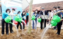 Hội LHPN Thanh Hoá hưởng ứng trồng cây xanh chào mừng thành công Đại hội đại biểu Phụ nữ XIII