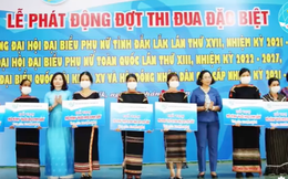 100 hoạt động/phần việc hỗ trợ sinh kế cho phụ nữ dân tộc thiểu số nghèo