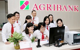 “Giỏi việc ngân hàng, đảm việc nhà” - những đóa hồng Agribank tỏa sáng