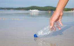 Quảng Bình: Hạn chế rác từ biển vào bờ