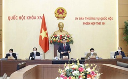 Dự án Luật phòng, chống bạo lực gia đình (sửa đổi) sẽ được cho ý kiến để trình Quốc hội tại Kỳ họp thứ 3