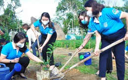 Trong 1 tháng, các cấp Hội, hội viên, phụ nữ cả nước đã trồng được hơn 5,7 triệu cây xanh