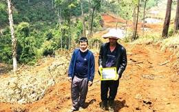 Lâm Đồng:
       Khởi tố, bắt tạm giam kẻ chủ mưu hủy hoại rừng

