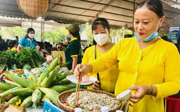 Phụ nữ tiên phong khởi nghiệp vì Hội An xanh