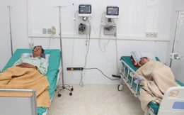 Uống rượu ngâm củ ấu tàu, 2 người nhập viện