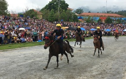 Giải đua ngựa "kéo" hơn 6 vạn du khách đến với Bắc Hà