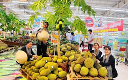 Các loại trái cây đặc sản hội tụ tại Tiền Giang