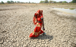 Ấn Độ: Nắng nóng kỷ lục, phụ nữ vật lộn tìm nước