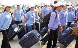 Sổ tay chăm sóc sức khỏe dành cho lao động Việt Nam đi làm việc tại Nhật Bản, Hàn Quốc