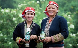 Ưu tiên hỗ trợ mô hình khởi sự kinh doanh, khởi nghiệp của phụ nữ dân tộc thiểu số, miền núi 