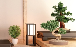 Chữa lành tinh thần bằng...Bonsai