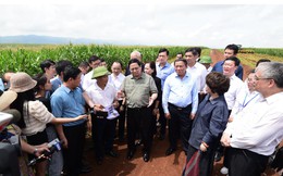 Cuộc trò chuyện của Thủ tướng và người nông dân trên cánh đồng nguyên liệu đạt kỷ lục thế giới