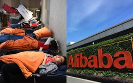 Ngủ trưa công ty: Huawei ngủ nệm, Alibaba ngủ lều, Baidu xây luôn "thiên đường" cho nhân viên