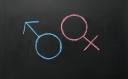Cha mẹ nên giáo dục giới tính cho con từ mấy tuổi?