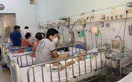 1.500 túi dịch truyền Dextran điều trị sốc sốt xuất huyết về Việt Nam