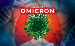 Chuyện đặt tên biến thể phụ của Omicron 