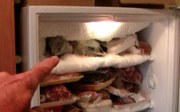 Mách bạn cách rã đông tủ lạnh để trữ đồ Tết đúng cách lại còn tiết kiệm điện