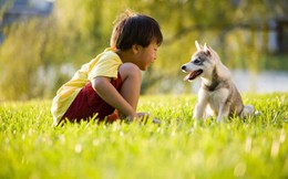 Cách đơn giản để giáo dục lòng nhân từ cho trẻ là dạy chúng biết yêu thương động vật
