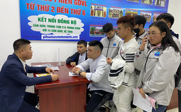 Nhiều cơ hội việc làm bán thời gian cho lao động nữ dịp Tết