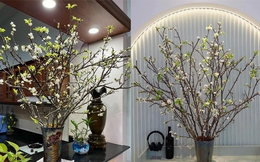 Cành hoa mận rừng tấp nập xuống phố, mua 90 nghìn được hẳn 20 cành cắm quanh nhà