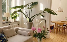 6 kiểu người nên đi thuê thay vì mua nhà để tránh rơi vào cảnh trắng tay