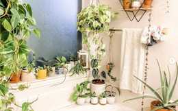 9 ý tưởng tạo vườn treo xanh tươi, đẹp mắt trong phòng tắm nhỏ 