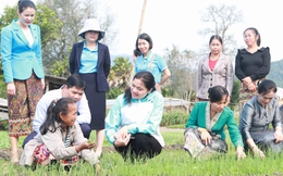 Đoàn cấp cao Hội LHPN Việt Nam kết thúc tốt đẹp chuyến thăm hữu nghị CHDCND Lào