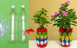 8 món đồ có thể tái sử dụng mà chúng ta thường vứt đi