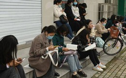 3 tính xấu khiến sinh viên ra trường có cuộc sống không như ý muốn