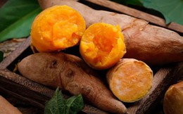 3 loại rau củ người già ăn 2 lần/tuần giúp thải độc, kiểm soát huyết áp, ngăn ngừa ung thư