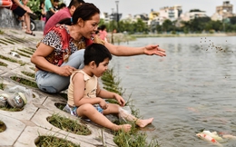 Người dân Hà Nội thích thú vui đùa với 12.000 con cá Koi 